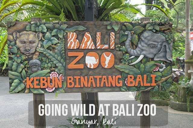 bali zoo park